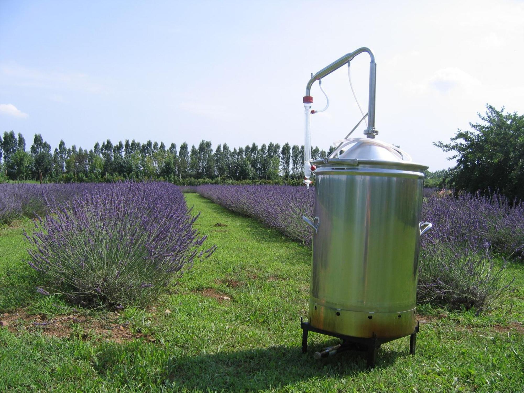 Agriturismo Domus Magna Povoletto Luaran gambar