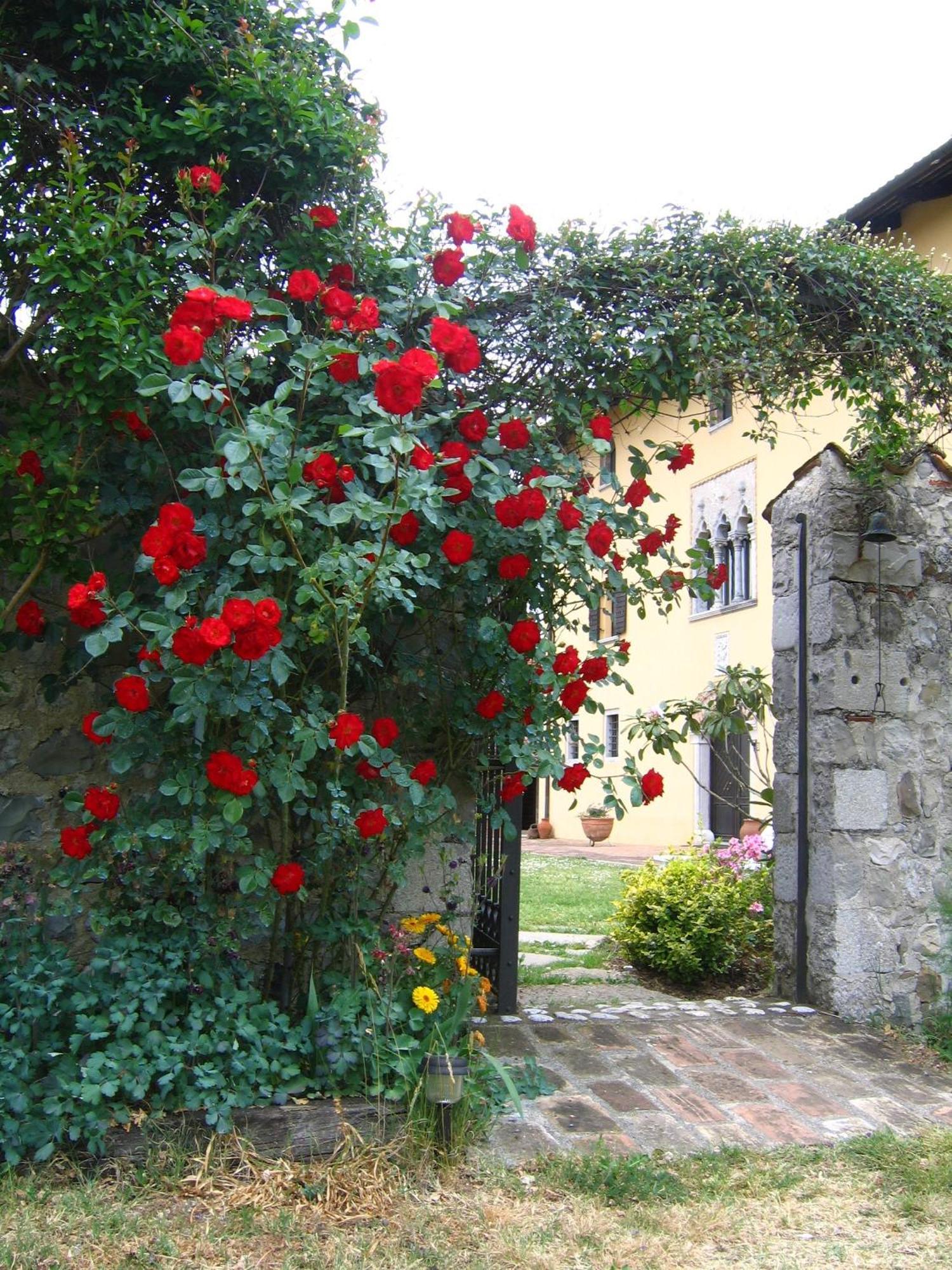 Agriturismo Domus Magna Povoletto Luaran gambar