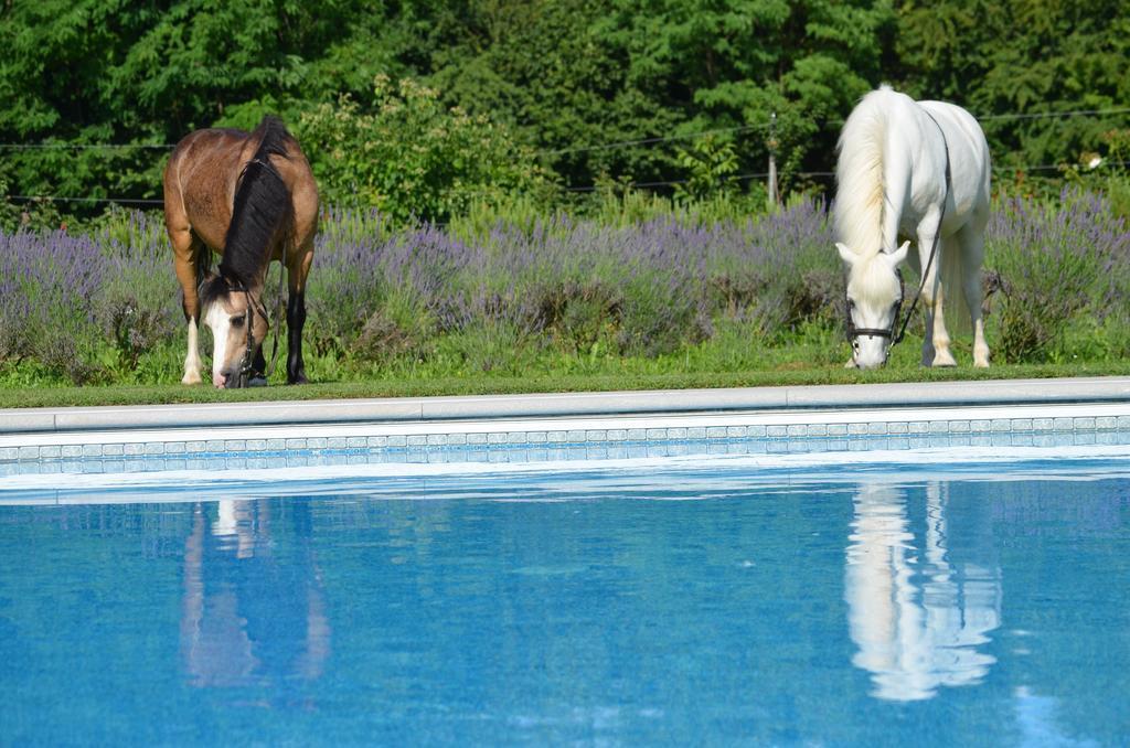 Agriturismo Domus Magna Povoletto Luaran gambar